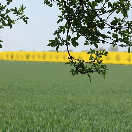 דירה Comfortable Near Seabeach In *