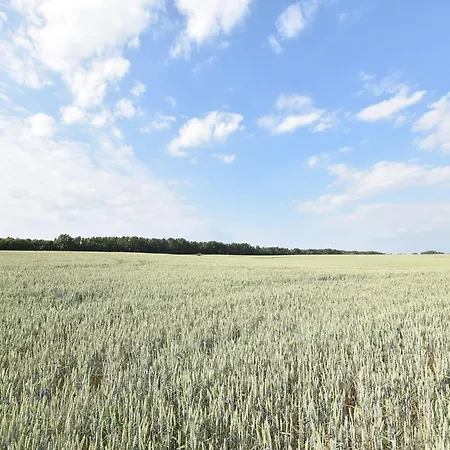 Comfortable Near Seabeach In דירה